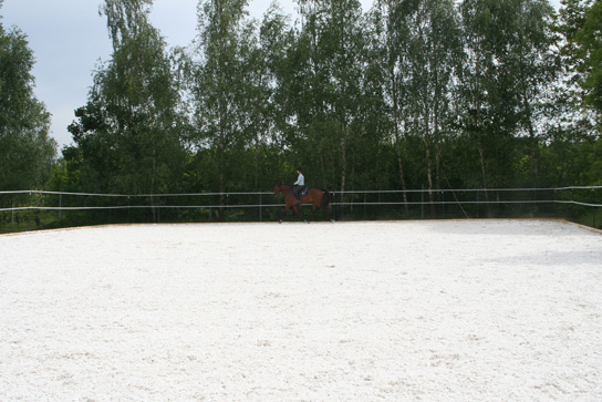 Saddle-Check-Point